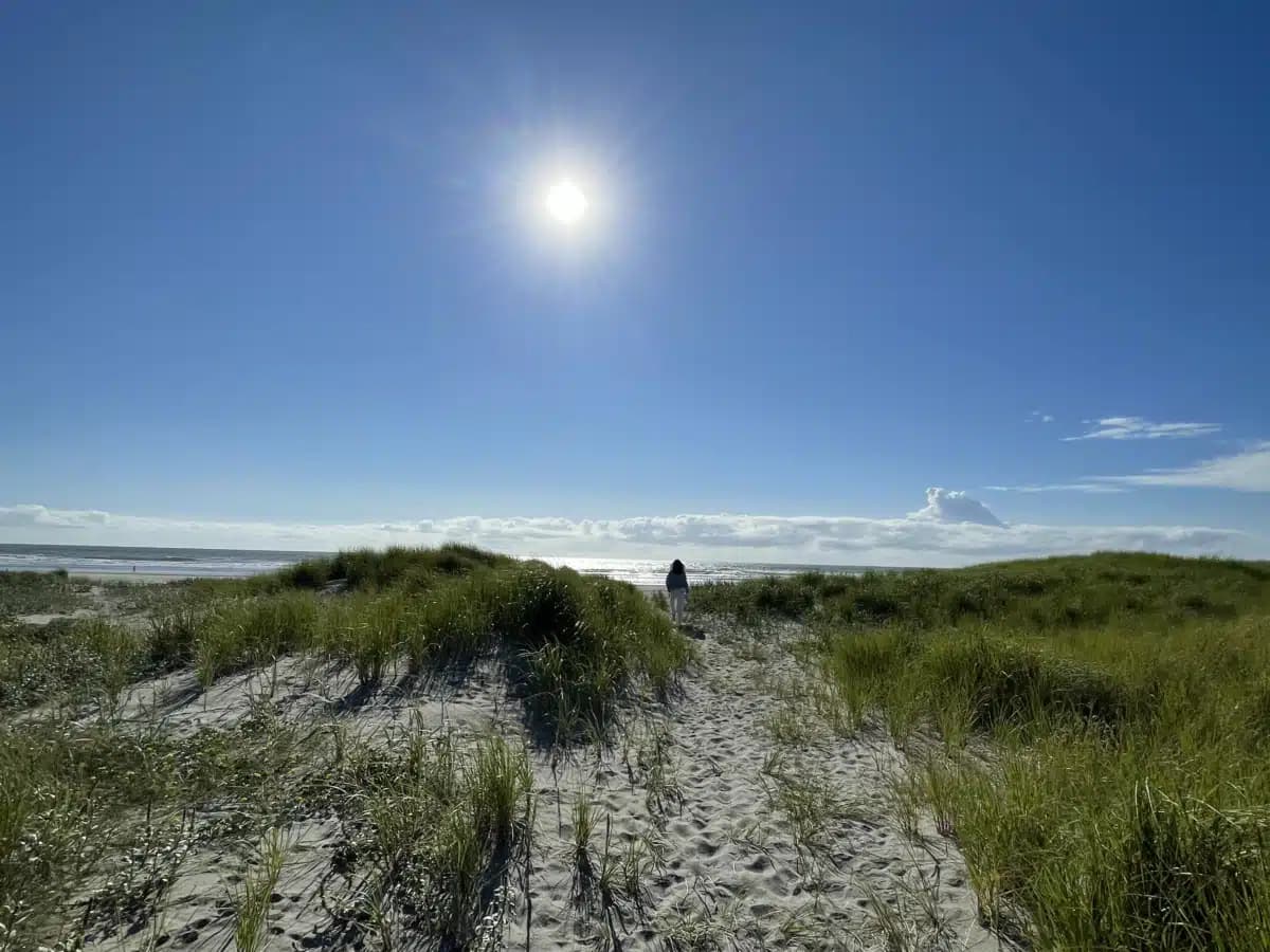 Free by the Sea rehabilitation center in Ocean Park, WA